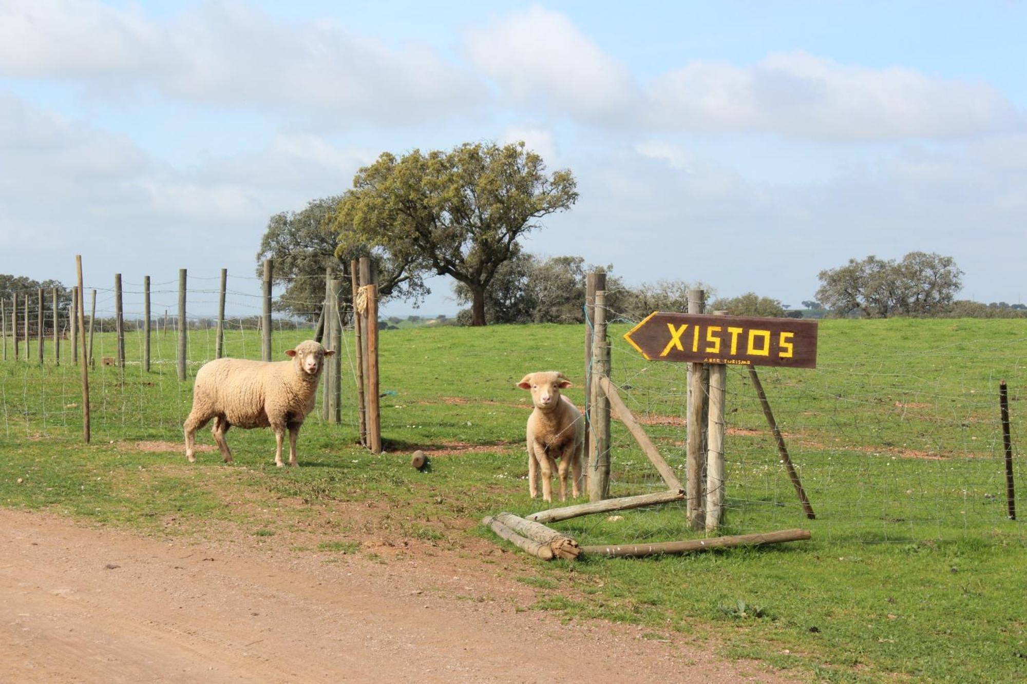 Agroturismo Xistos Cerca Eksteriør billede